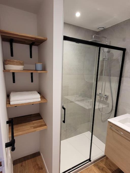 Studio 2 Voyageurs Au Coeur De Ville 萨莱切 外观 照片